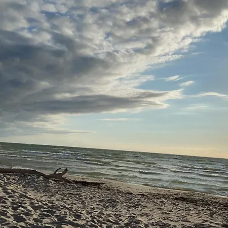 Unweit Warnemuende Sobierajczyk In Markgrafenheide * Rostock