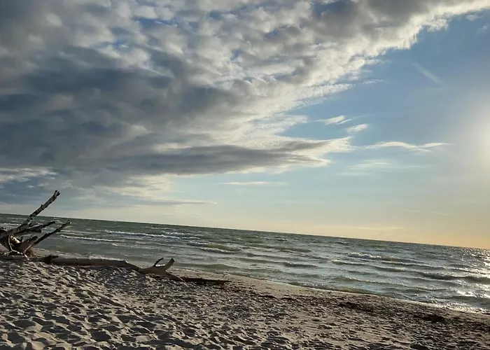 Unweit Warnemuende Sobierajczyk In Markgrafenheide * روستوك